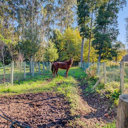 Casa Do Moinho Rural Campo E Praia , 9 Pessoas, Animais Benvindos Эшпинью Экстерьер фото
